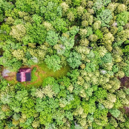 Lost Pond Cabin Schroon Lake Ngoại thất bức ảnh