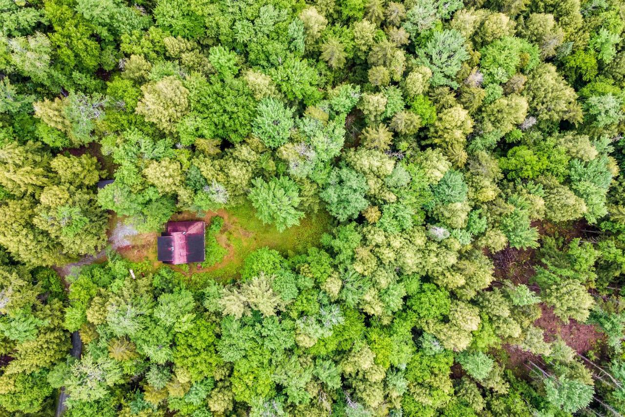 Lost Pond Cabin Schroon Lake Ngoại thất bức ảnh