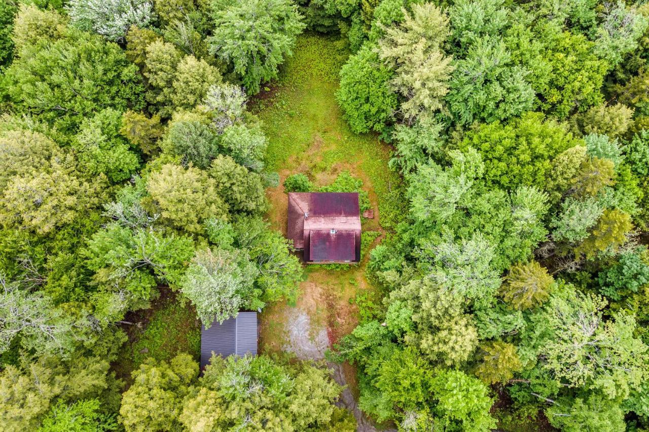 Lost Pond Cabin Schroon Lake Ngoại thất bức ảnh
